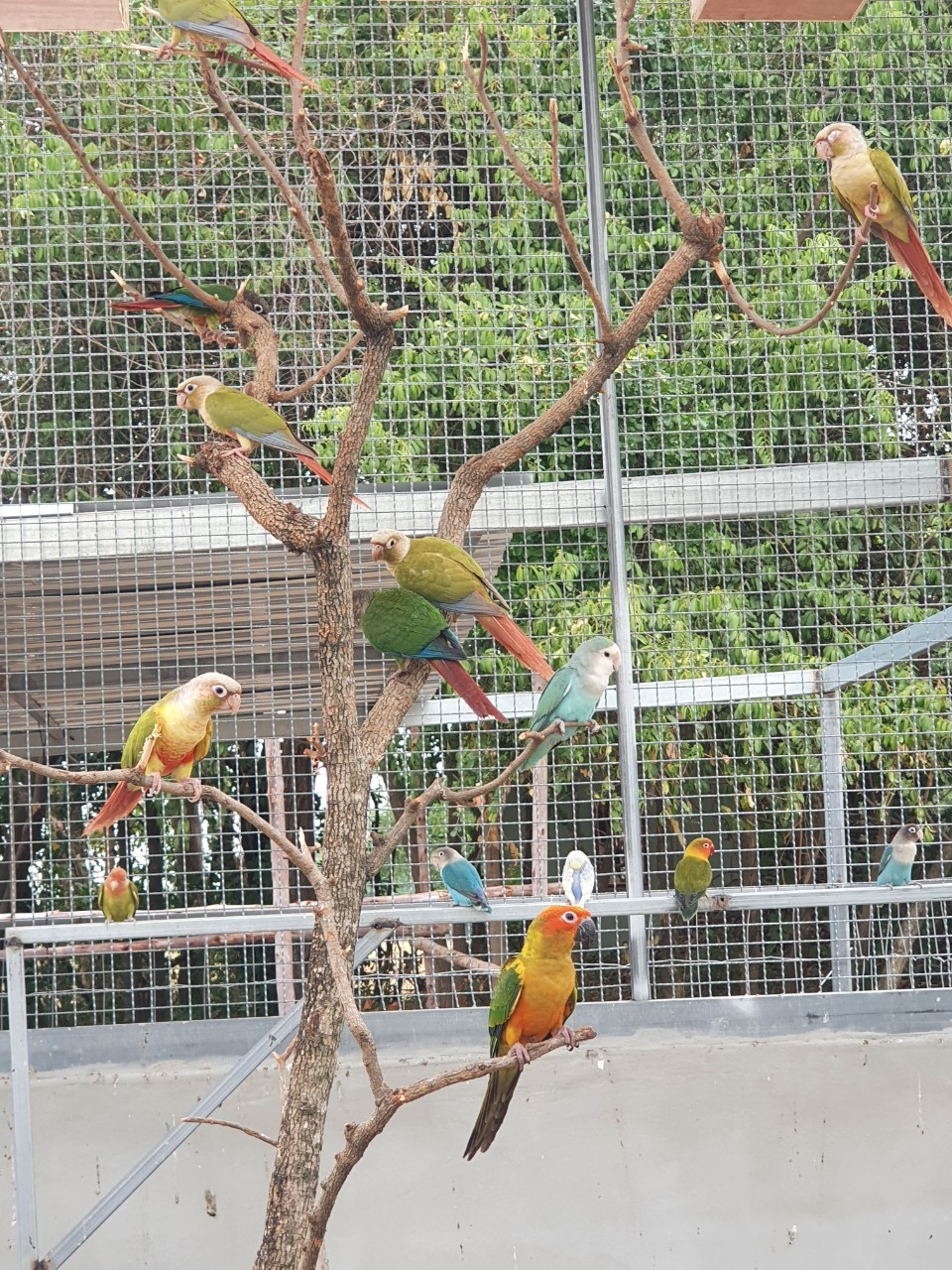 รูปที่ 2