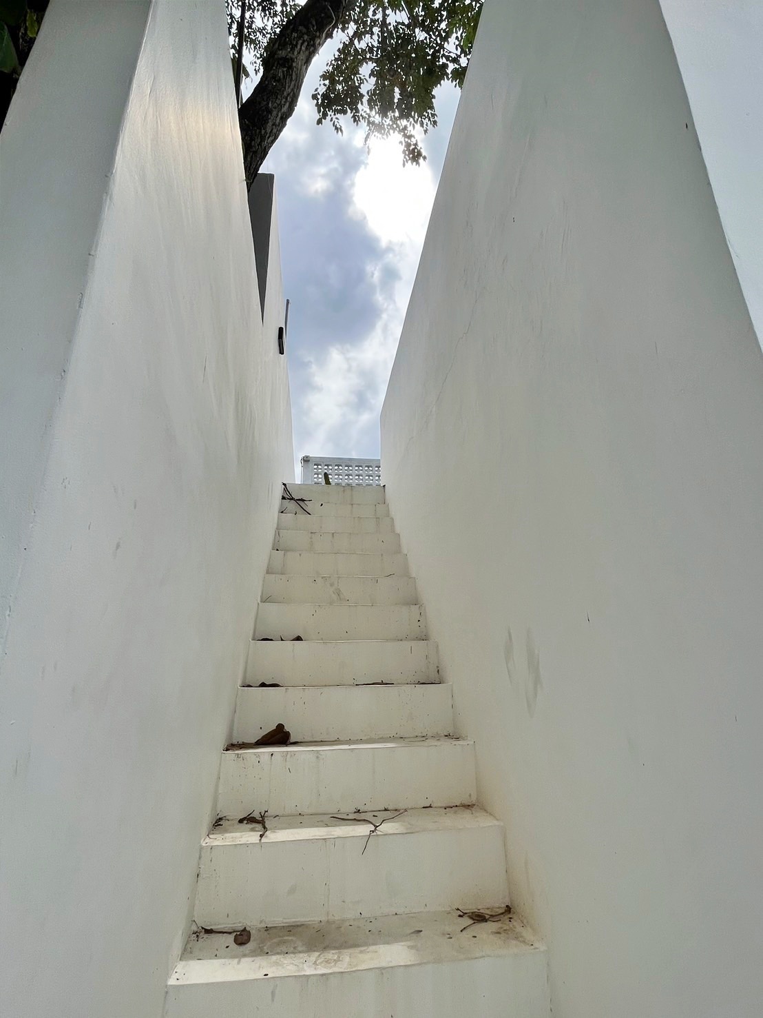 รูปที่ 5