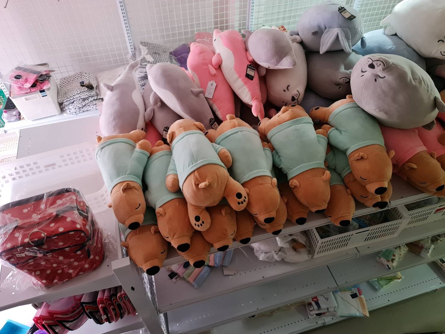 รูปที่ 5