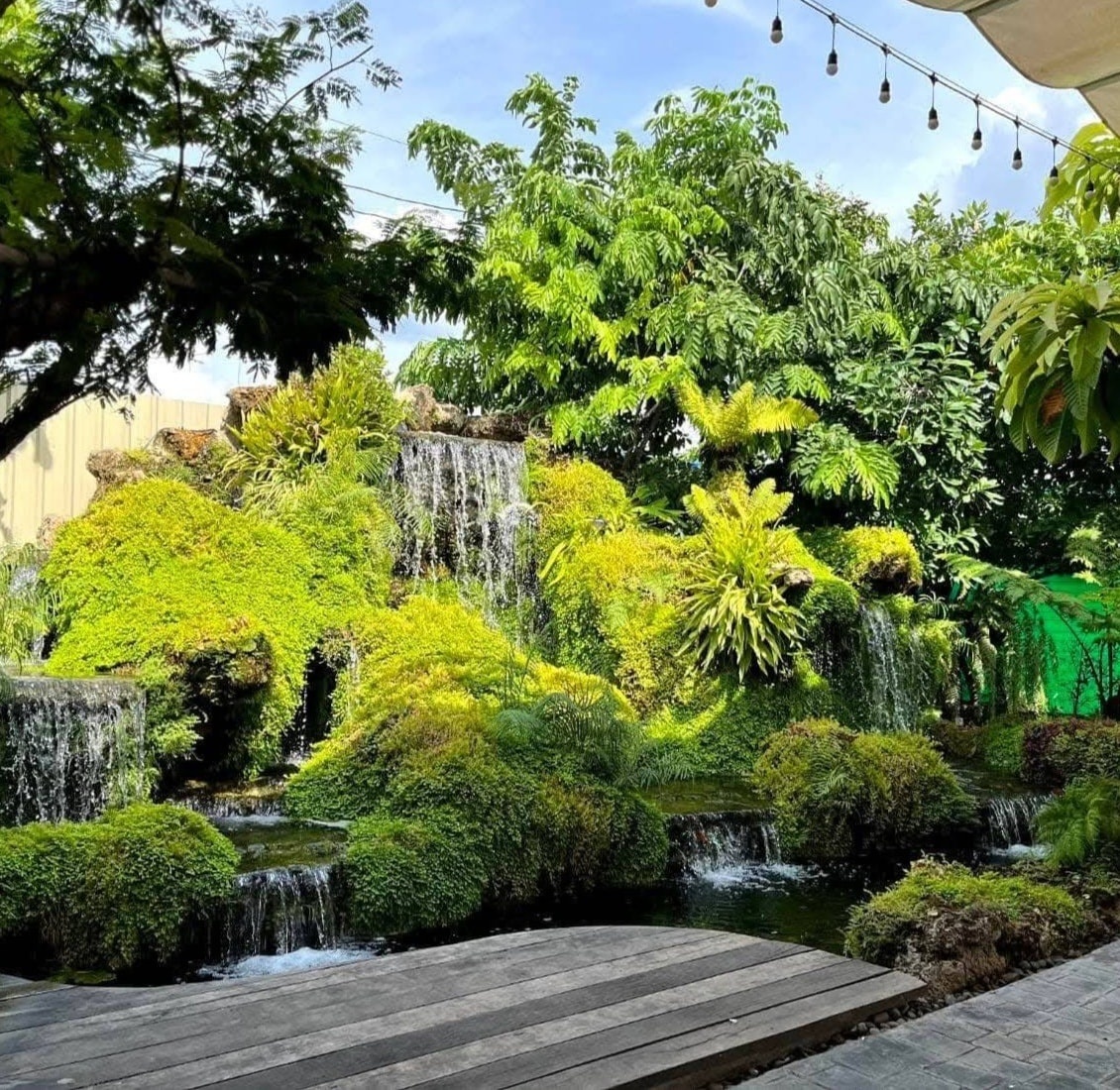 รูปที่ 7