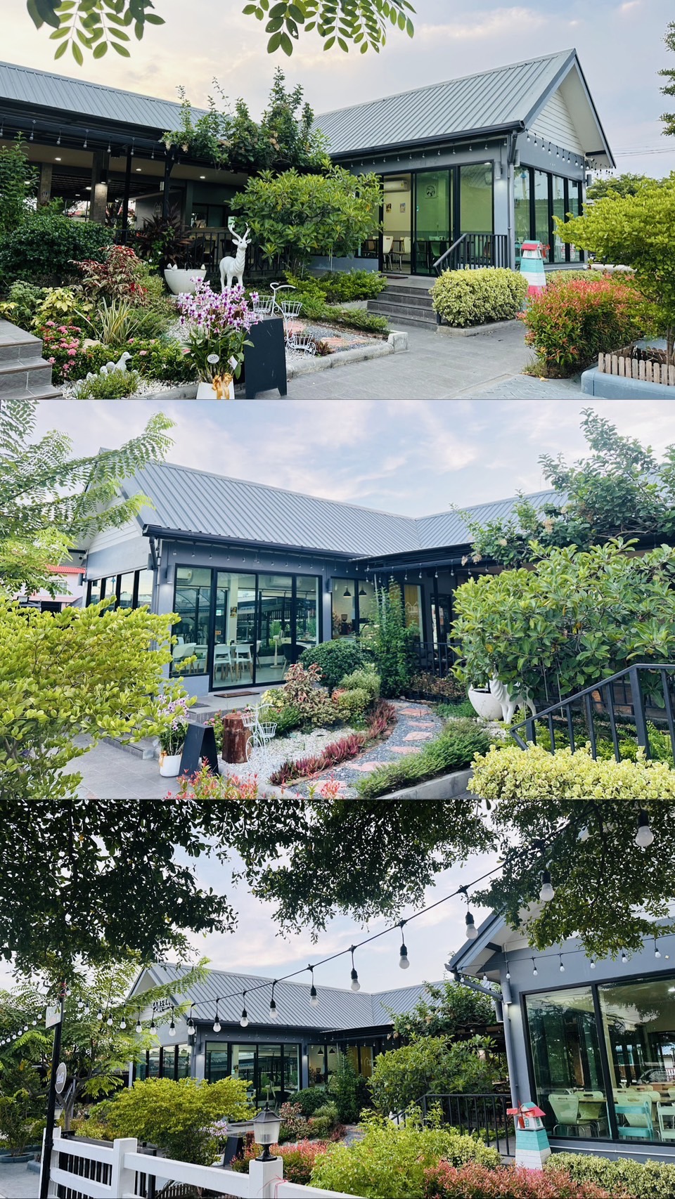 รูปที่ 3