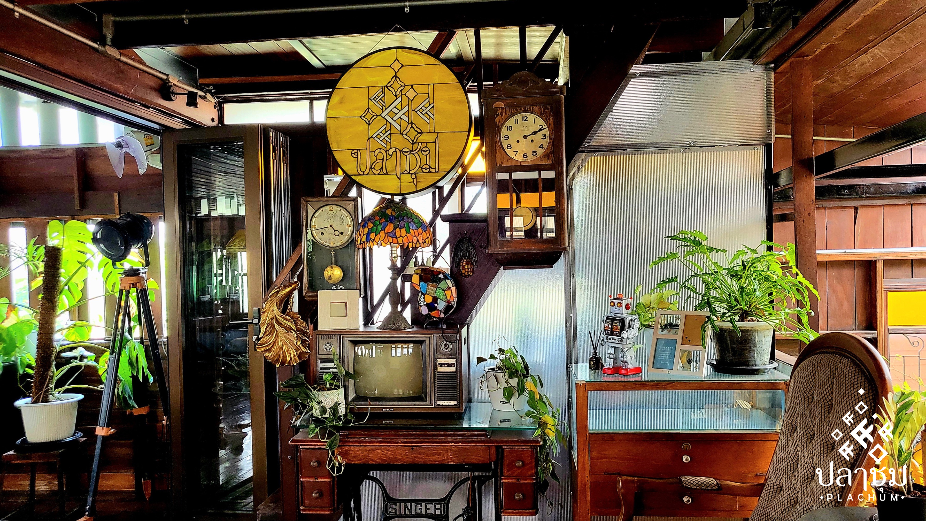 รูปที่ 6