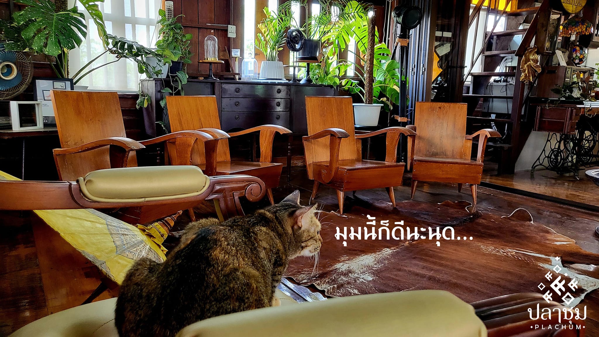 รูปที่ 8