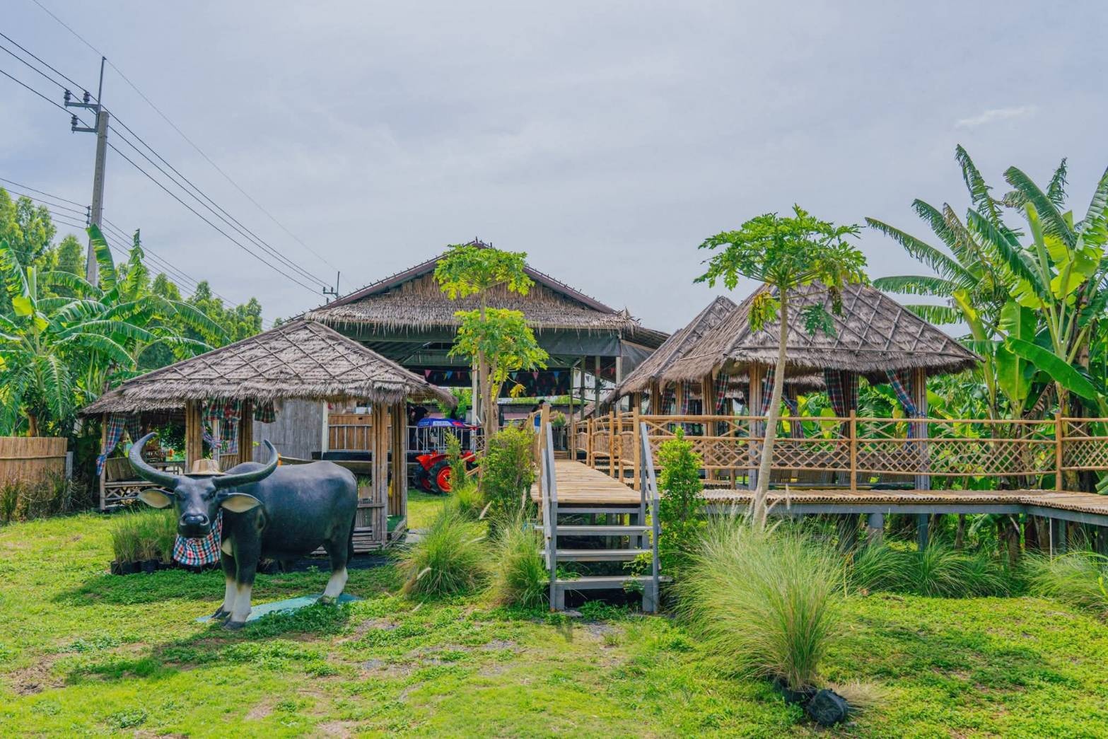 รูปที่ 2