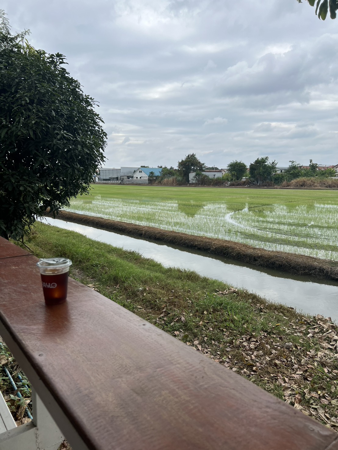 รูปที่ 4