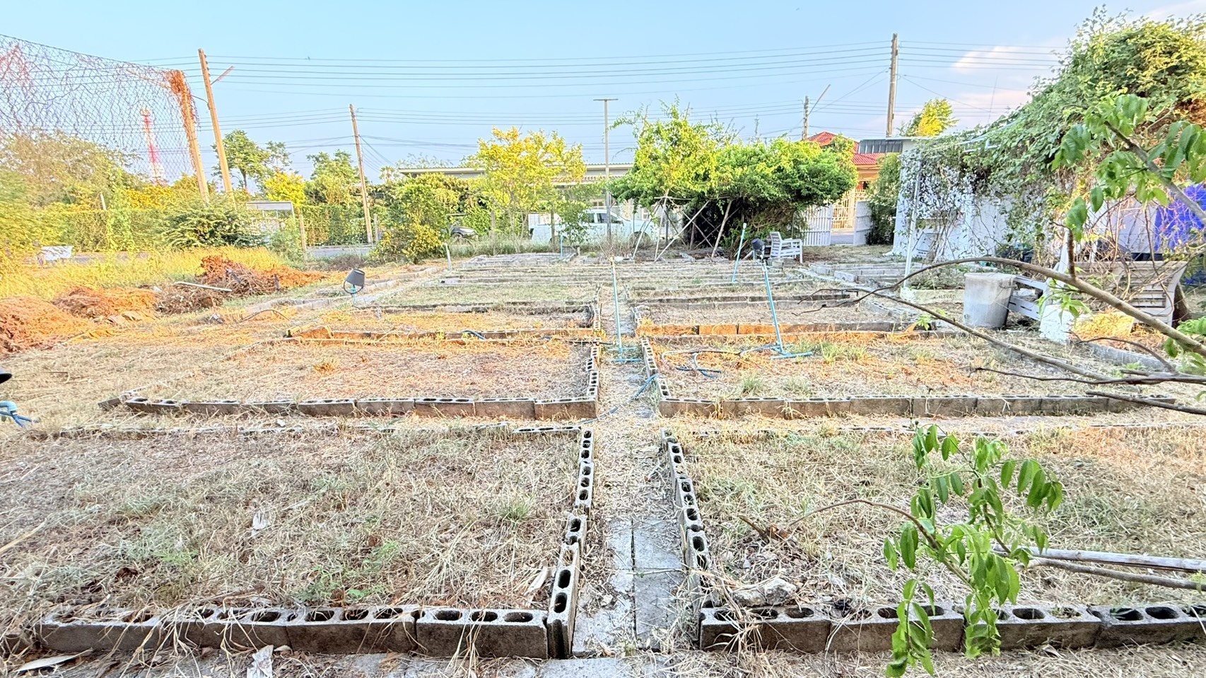 รูปที่ 2